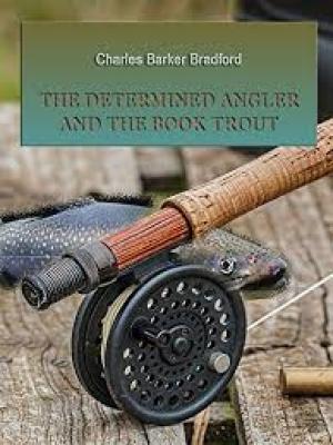 The Determined Angler and the Brook Trout